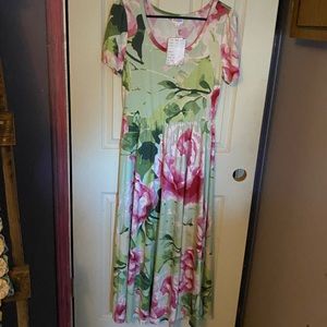 Small LulaRoe Riley dress